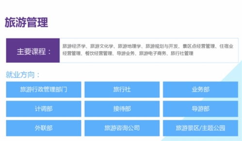 旅游管理类 电子商务类专业解读